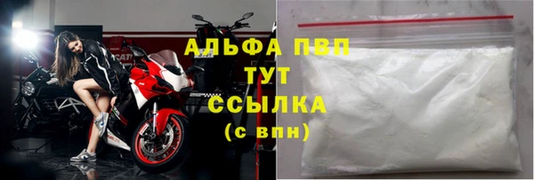 Альфа ПВП Новозыбков