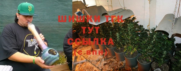 Альфа ПВП Новозыбков