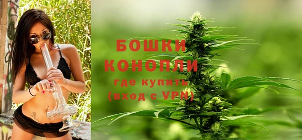 Альфа ПВП Новозыбков