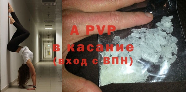 Альфа ПВП Новозыбков