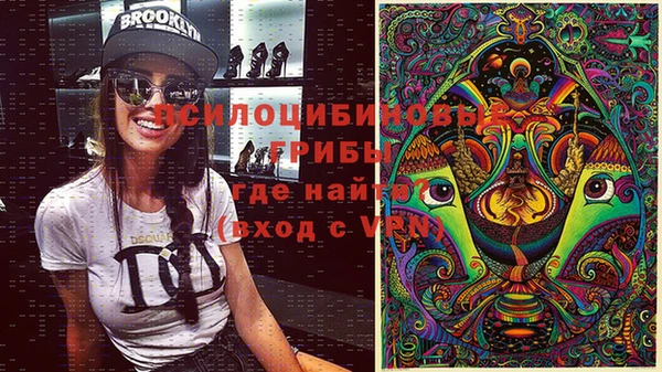 прущие крисы Новодвинск