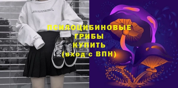 прущие крисы Новодвинск
