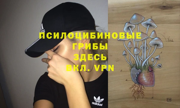 прущие крисы Новодвинск