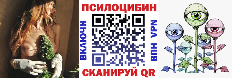 где продают наркотики  mega рабочий сайт  Галлюциногенные грибы ЛСД  Новокузнецк 
